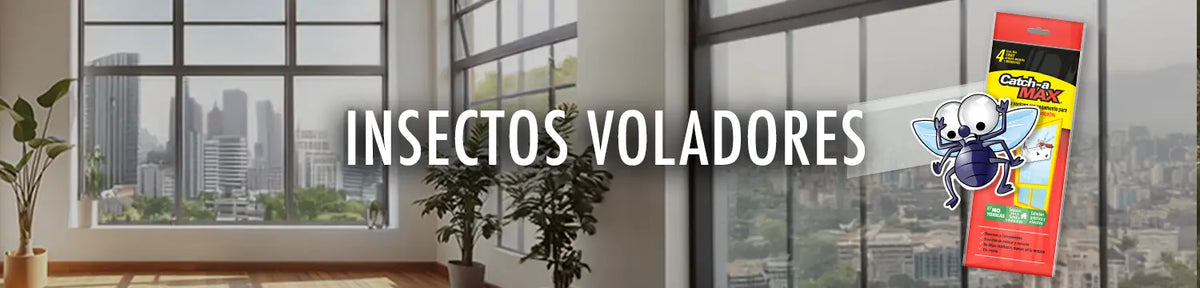 Insectos voladores