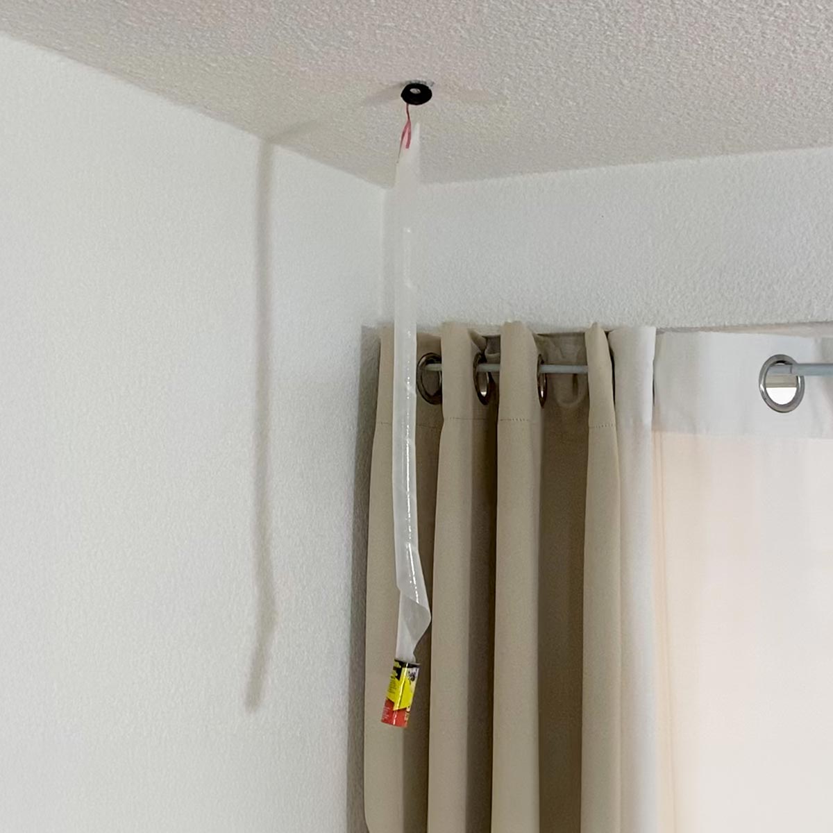 Trampas de tira con pegamento para moscas y otros insectos voladores - Catch-a MAX